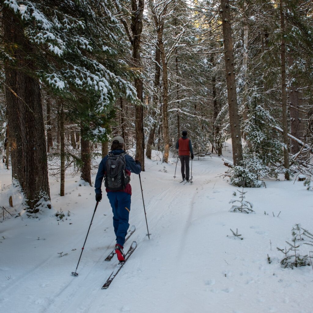 two skiers on a backcountry trail